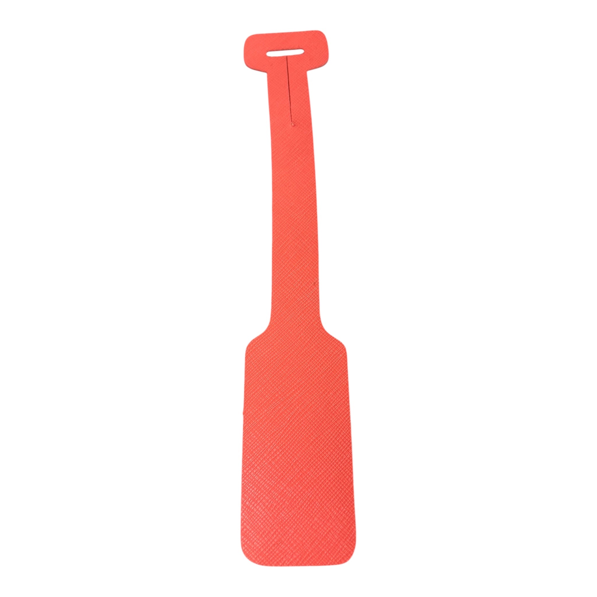 Loop Luggage Tag